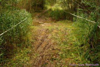 Laufstrecke: Furt am Grundbach - Uwe Warmuth