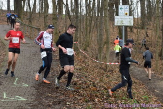 5,3 km + 10,6 km: Spitzkehre am Humboldthain