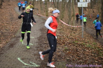 5,3 km + 10,6 km: Spitzkehre am Humboldthain