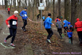 5,3 km + 10,6 km: Spitzkehre am Humboldthain