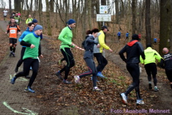 5,3 km + 10,6 km: Spitzkehre am Humboldthain