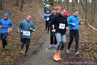 5,3 km + 10,6 km: Spitzkehre am Humboldthain