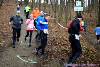 5,3 km + 10,6 km: Spitzkehre am Humboldthain