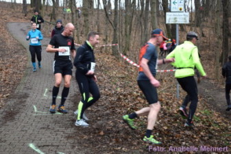5,3 km + 10,6 km: Spitzkehre am Humboldthain