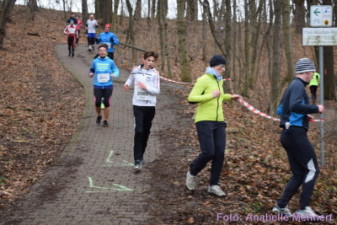 5,3 km + 10,6 km: Spitzkehre am Humboldthain