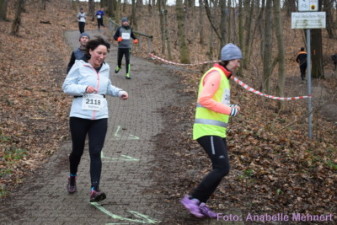 5,3 km + 10,6 km: Spitzkehre am Humboldthain