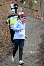 5,3 km + 10,6 km: Spitzkehre am Humboldthain