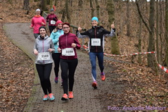 5,3 km + 10,6 km: Spitzkehre am Humboldthain