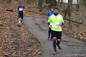 5,3 km + 10,6 km: Spitzkehre am Humboldthain