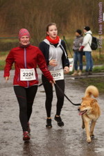 5,3 km: Start (inkl. 10,6 km), Spreetal, Siegerehrung