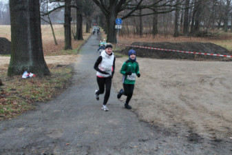 Silvesterlauf 2019 - Strecke 2,5 km
