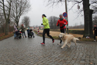 Silvesterlauf 2019 - 5 & 10 km