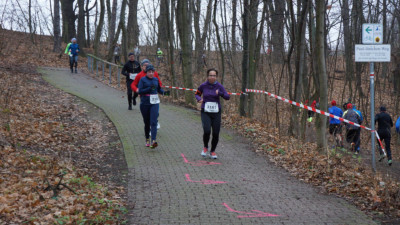 Silvesterlauf 2019 - Spitzkehre zum Spreetal