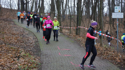 Silvesterlauf 2019 - Spitzkehre zum Spreetal