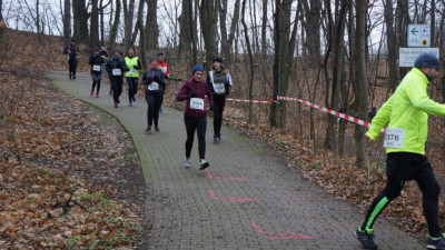 Silvesterlauf 2019 - Spitzkehre zum Spreetal
