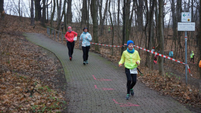 Silvesterlauf 2019 - Spitzkehre zum Spreetal