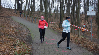 Silvesterlauf 2019 - Spitzkehre zum Spreetal