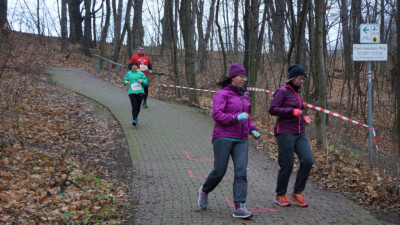 Silvesterlauf 2019 - Spitzkehre zum Spreetal