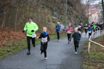 Silvesterlauf 2019 - Spreetal