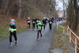 Silvesterlauf 2019 - Spreetal