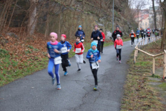 Silvesterlauf 2019 - Spreetal
