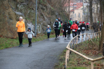 Silvesterlauf 2019 - Spreetal