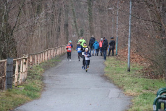 Silvesterlauf 2019 - Spreetal