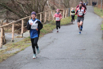 Silvesterlauf 2019 - Spreetal