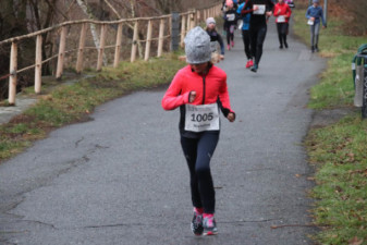 Silvesterlauf 2019 - Spreetal