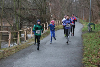 Silvesterlauf 2019 - Spreetal