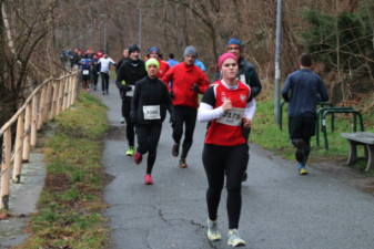 Silvesterlauf 2019 - Spreetal