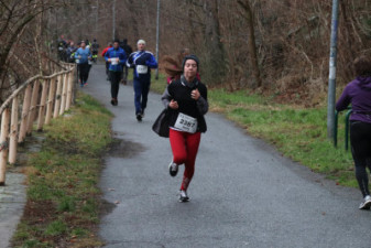 Silvesterlauf 2019 - Spreetal
