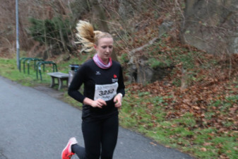 Silvesterlauf 2019 - Spreetal