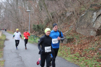 Silvesterlauf 2019 - Spreetal