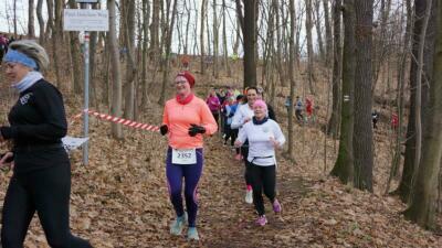 Silvesterlauf 2023 - Spreetal