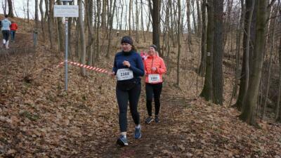 Silvesterlauf 2023 - Spreetal
