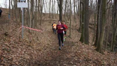 Silvesterlauf 2023 - Spreetal