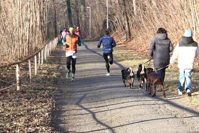 Silvesterlauf 2024