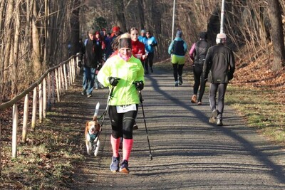 Silvesterlauf 2024