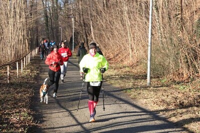 Silvesterlauf 2024