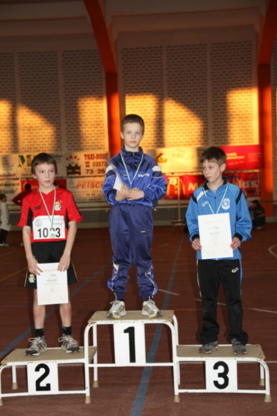 Silberschweif mit goldener Spitze